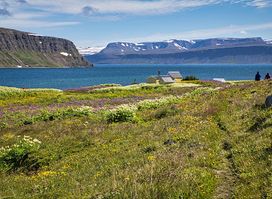Hornstrandir Nature Reserve