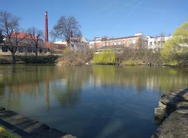 Lorec