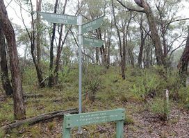 Horsnell Gully Conservation Park