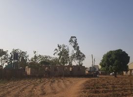 Gura Topp Rayfield, Jos.
