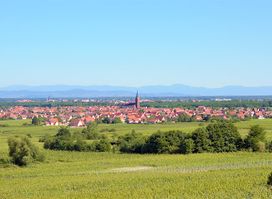 La Halte des Vignes - Route des vins d'Alsace