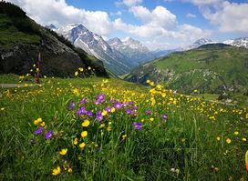 Balmalp Lech am Arlberg