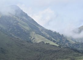 Totalreservat Berg Nimba