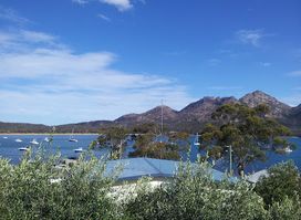 Freycinet on the Bay