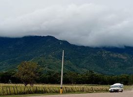 S. of Pico Bonito