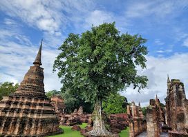 Sukhothai Buddha Park