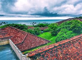 University of Ruhuna
