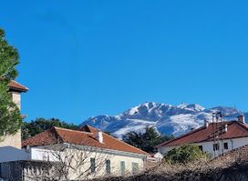 Porto montenegro watch