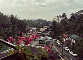 Hiking bar & Restaurant