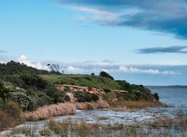 Hindmarsh Island