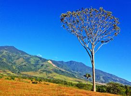 El Ombligo De Colombia