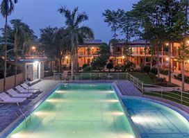 Jungle Safari Lodge