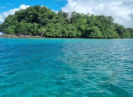Dany Island