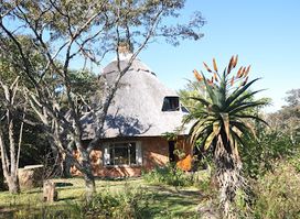 Frog & Fern Cottages Chimanimani