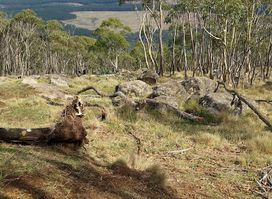 Mount Macedon Memorial Cross