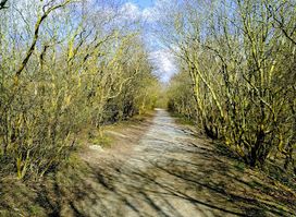 Viewpoint Noordduinen
