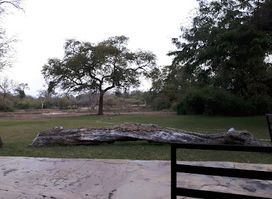 Lengwe National Park