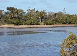 Shaws Bay