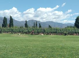 Riccitelli Wines