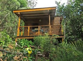 La Cabane de la Vallée- hébergement touristique et table d'hôte à Dumbéa Rivière
