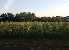 Attraction