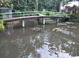 Philippine Eagle Center
