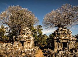 Phnom Bok