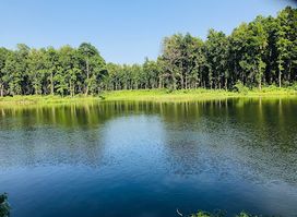 Betana Wetland