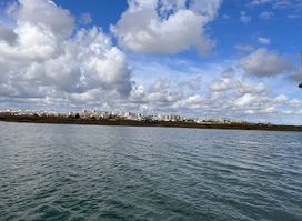 Estrela da Ria Formosa