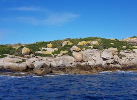 West Island
