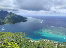 Mont Rotui