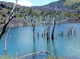 Reserva Nacional Malalcahuello