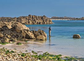 Alderney Point