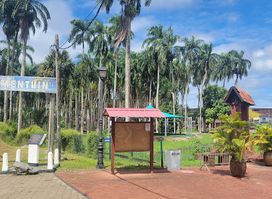 Palmtree Garden