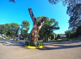 CLSU Leaders' Tree