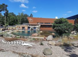 ZOO Wrocław