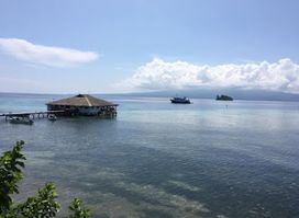 Solomon Islands Dive Expeditions