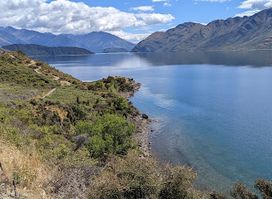 Glendhu Bay Track