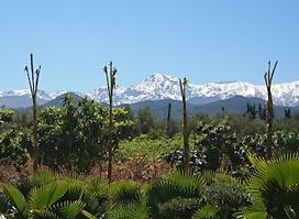 Paradis du Safran Maroc