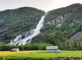 Vidfossen