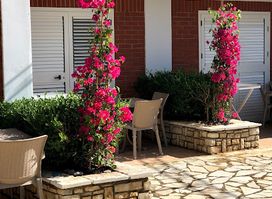 Greccia Hotel - Dhërmi