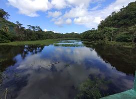 Paghungawan Marsh