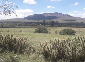 Longonot Volcano crater