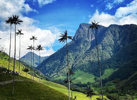 Cocoratours, Valle del cocora