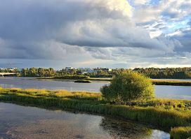 Koivusaari nature trail