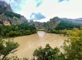 Grotte Aven Forestière : Grotte en Ardèche