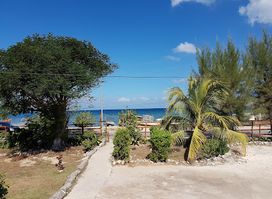 Mi Yard