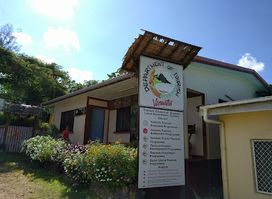 Department of Tourism