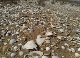Absheron peninsula