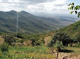 Mt. Kilimambogo at the peak